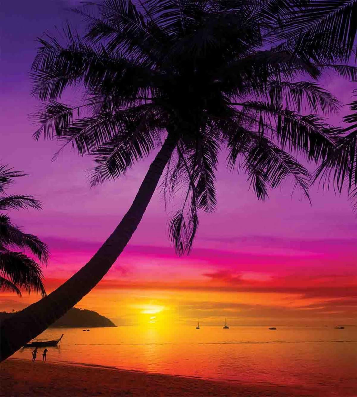 Palm Shadow at Sunset — Pattern