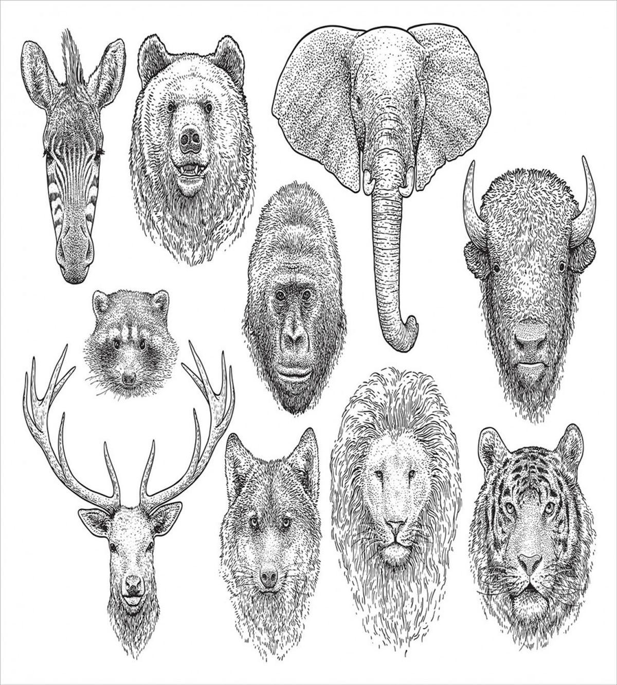 Composition of Animal Heads — Pattern