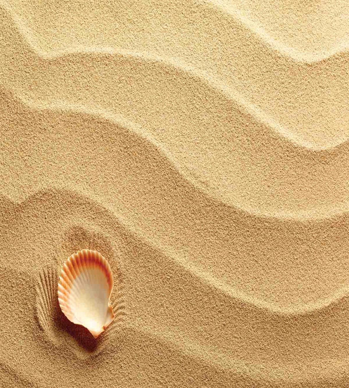 Seashells Yellow Sand — Pattern