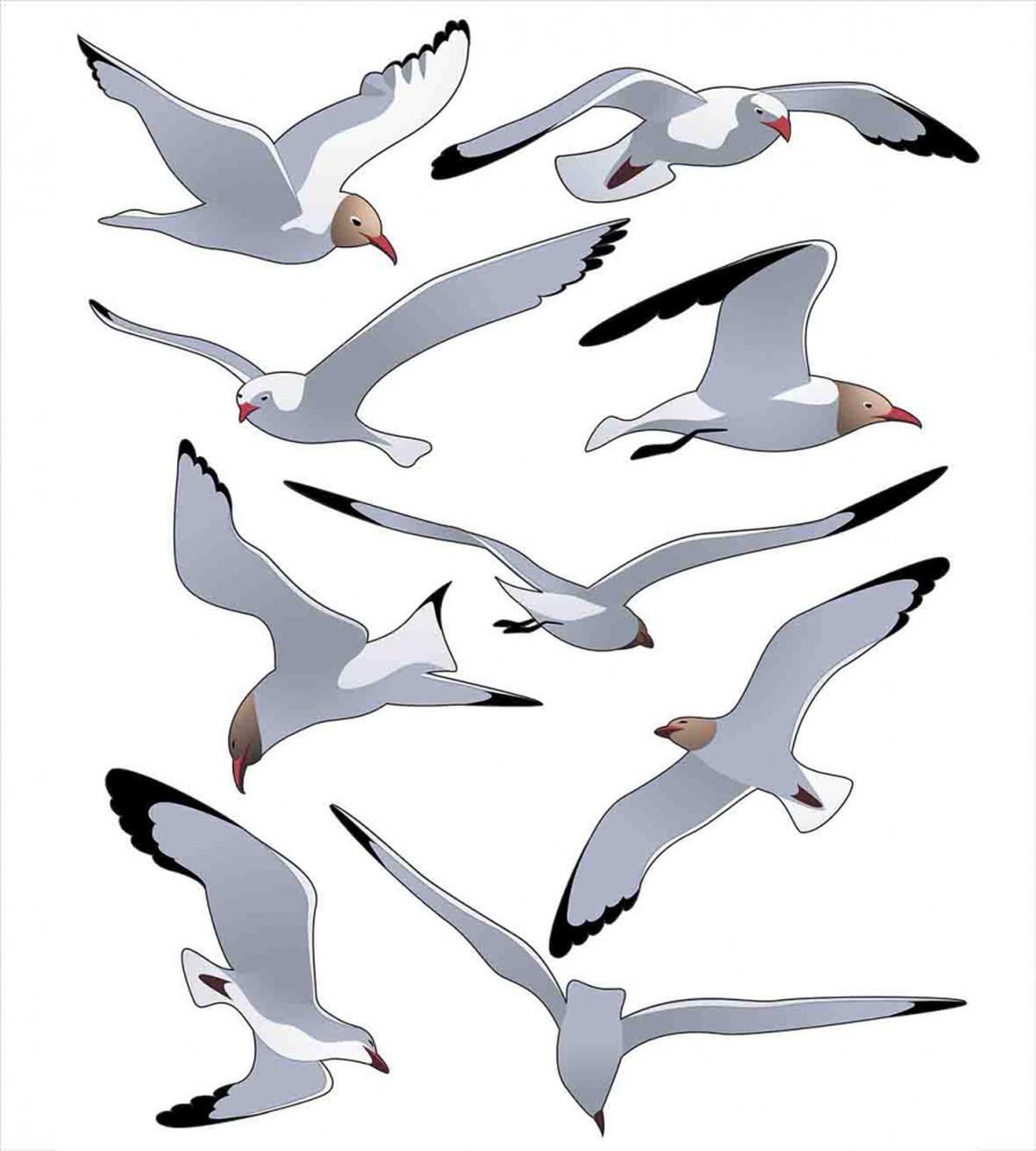 Flying Seagulls Cartoon — Pattern