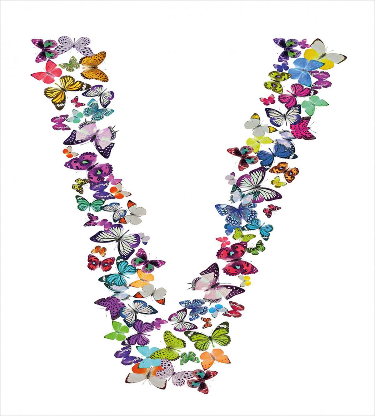 Lepidoptera Design V — Pattern