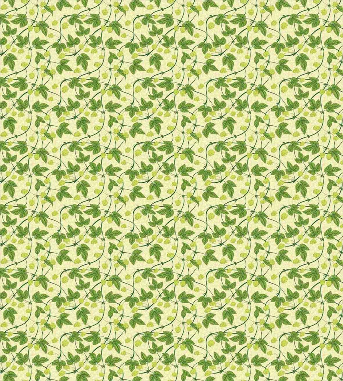 Medical Hop Plant Outdoors — Pattern