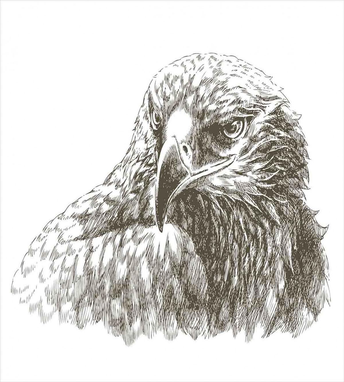 Eagle Wildlife Art — Pattern