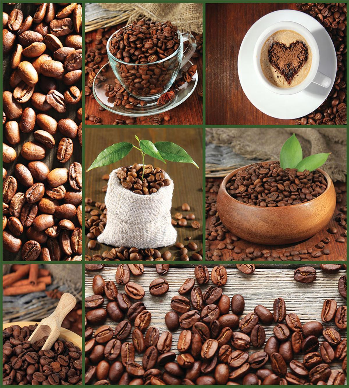 Coffee Beans and Bags — Pattern