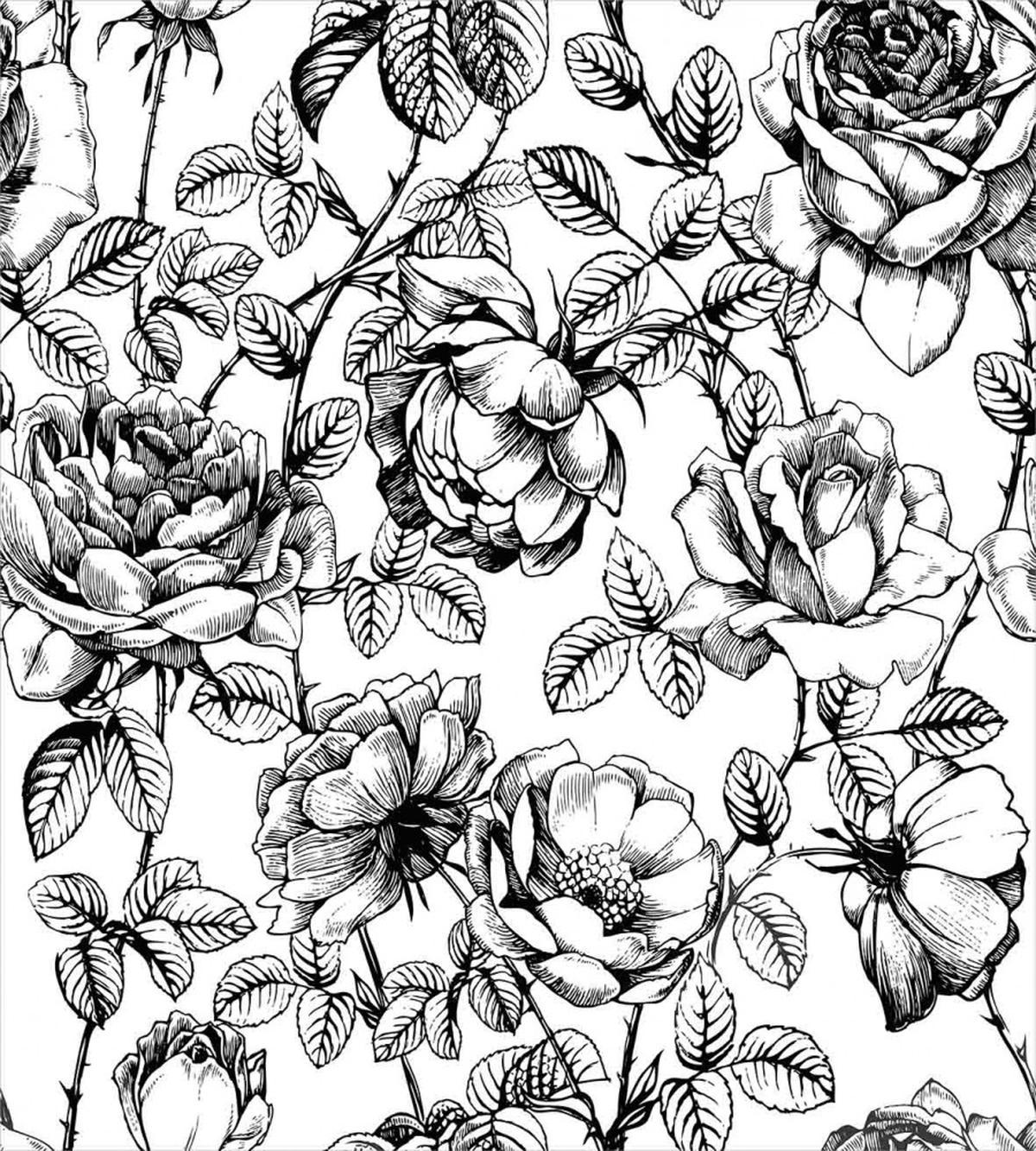 Hand Drawn Rose Petals — Pattern