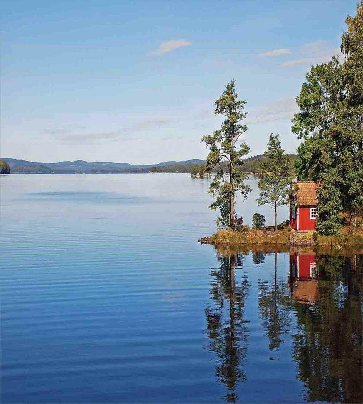 Country Lake House — Pattern