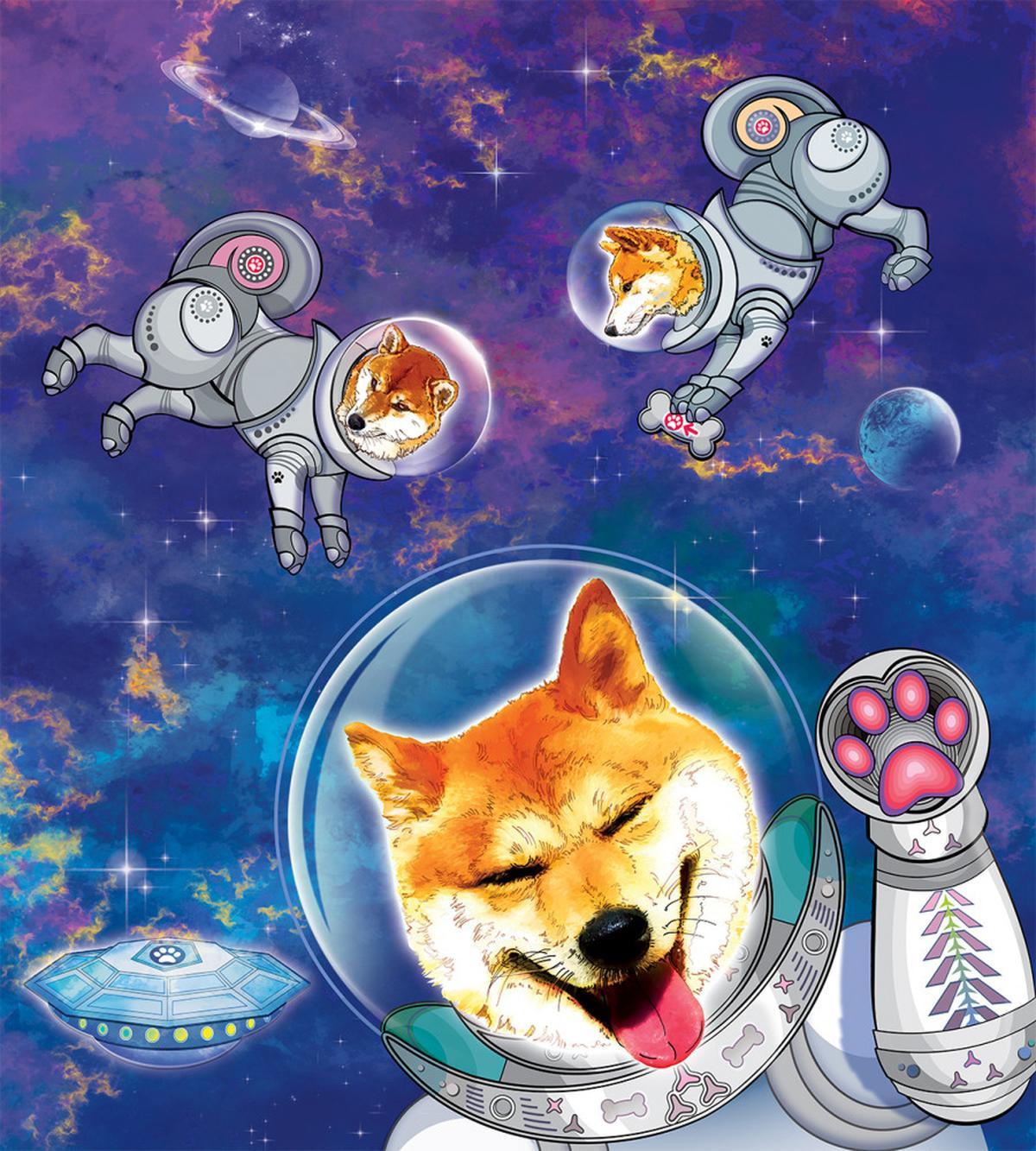 Astronaut Shibas in Space — Pattern