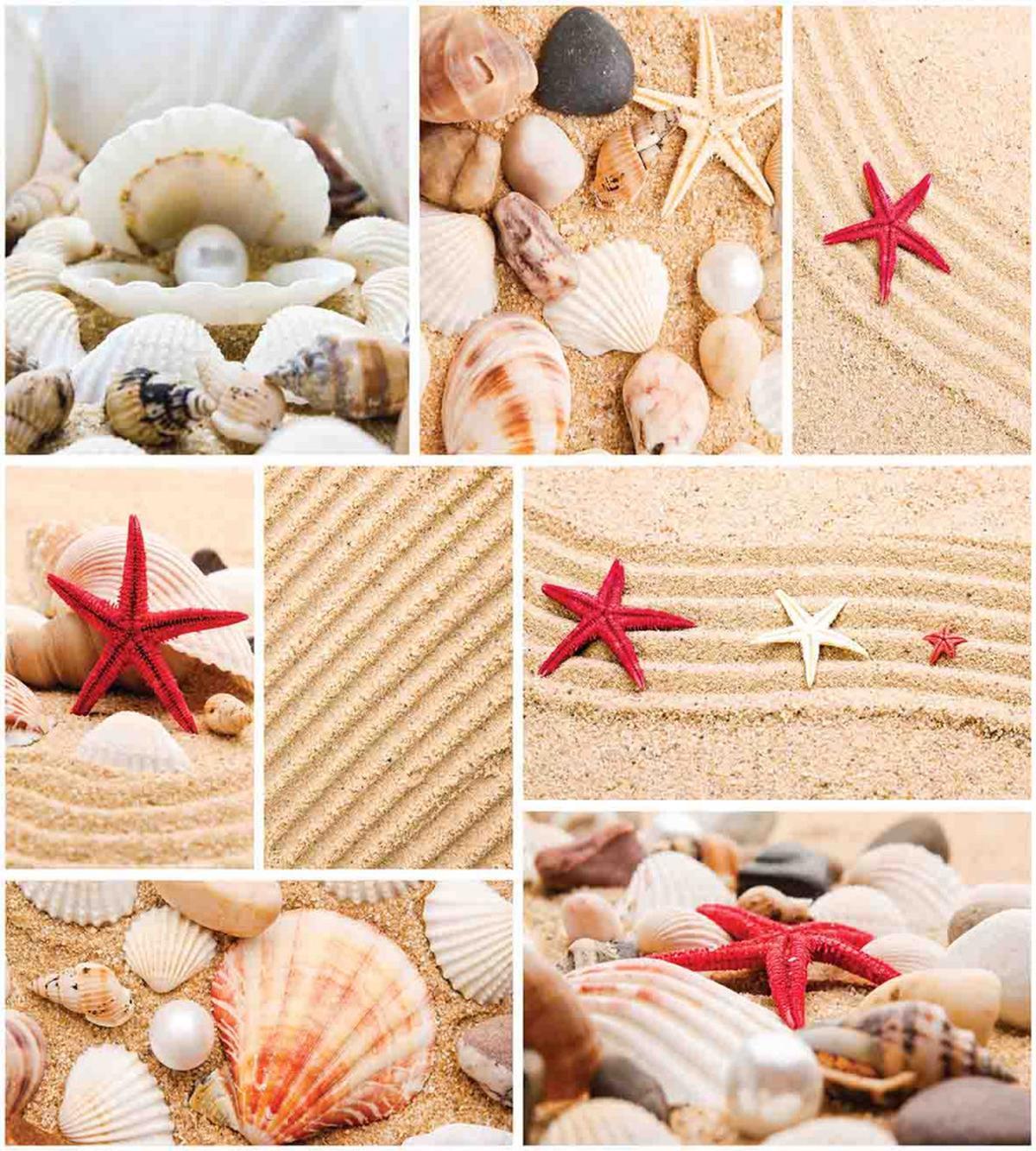 Seashells Starfishes — Pattern