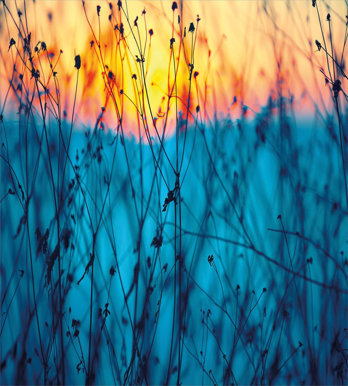 Autumn Dried Flowers — Pattern