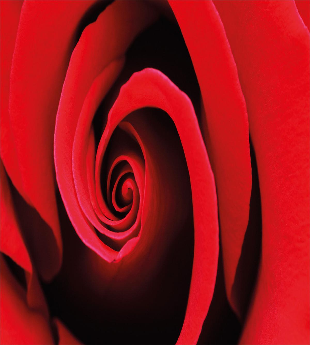 Swirled Petals Red Blossom — Pattern