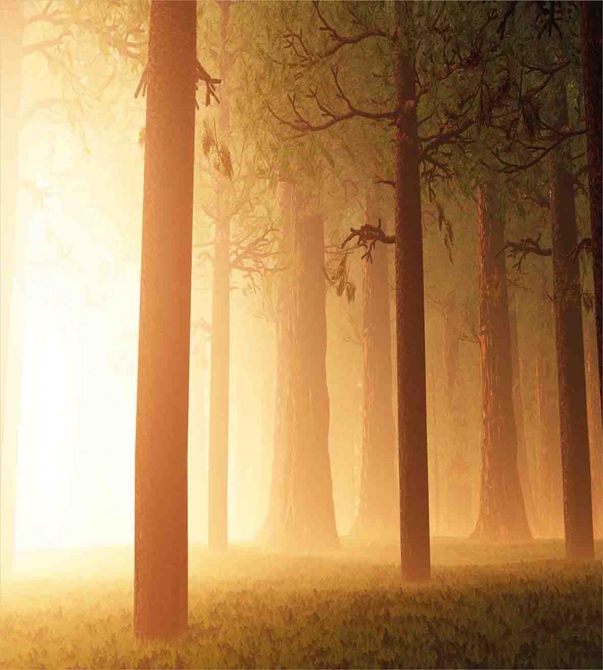 Foggy Hazy Woodland — Pattern