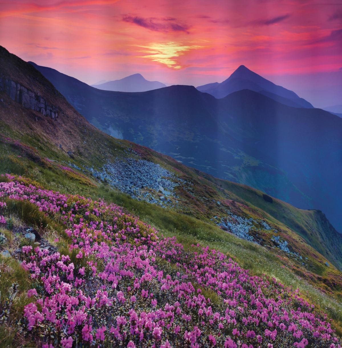 Floral Mountains Dusk — Pattern