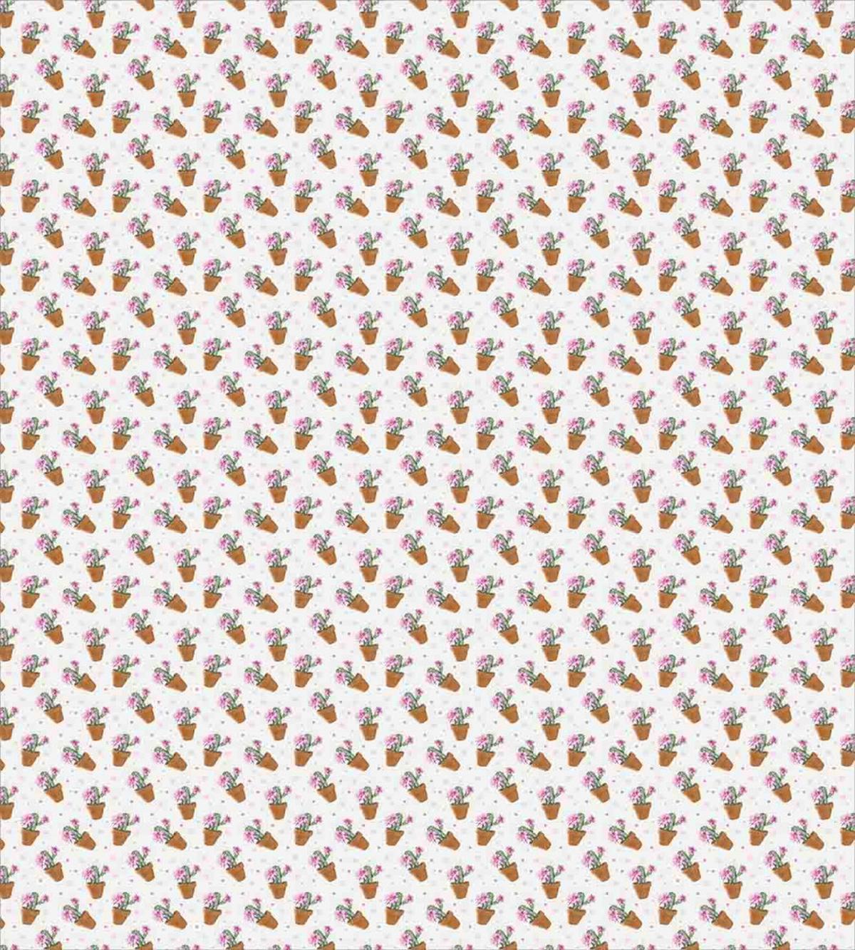 Exotic Cactus Plants — Pattern