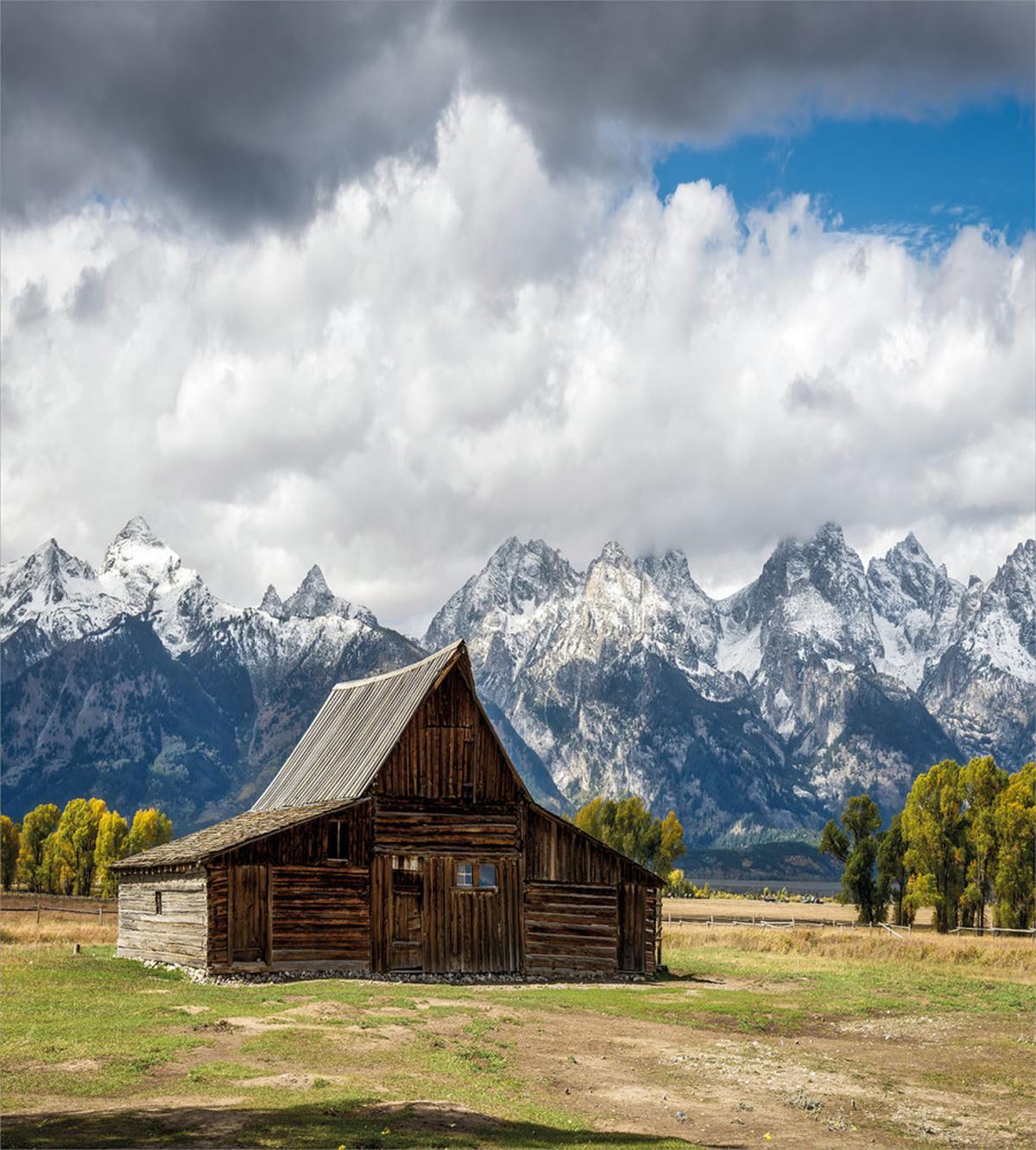 Rustic Wooden Cottage View — Pattern