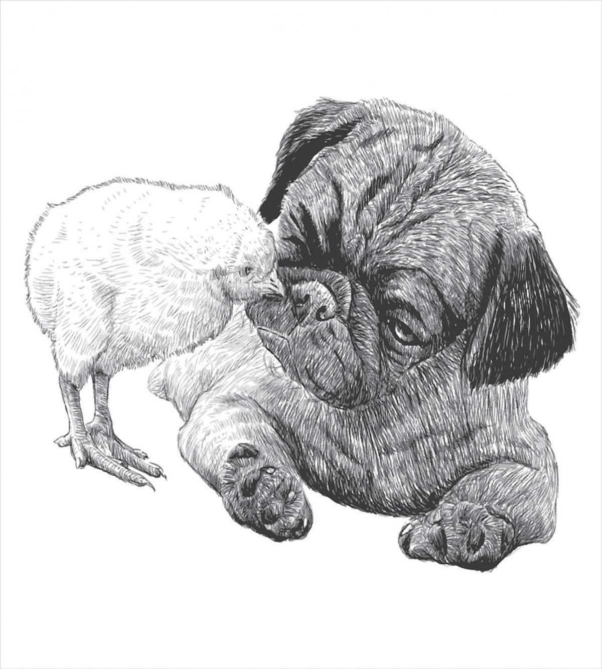 Pug Little Chick Hand Drawn — Pattern