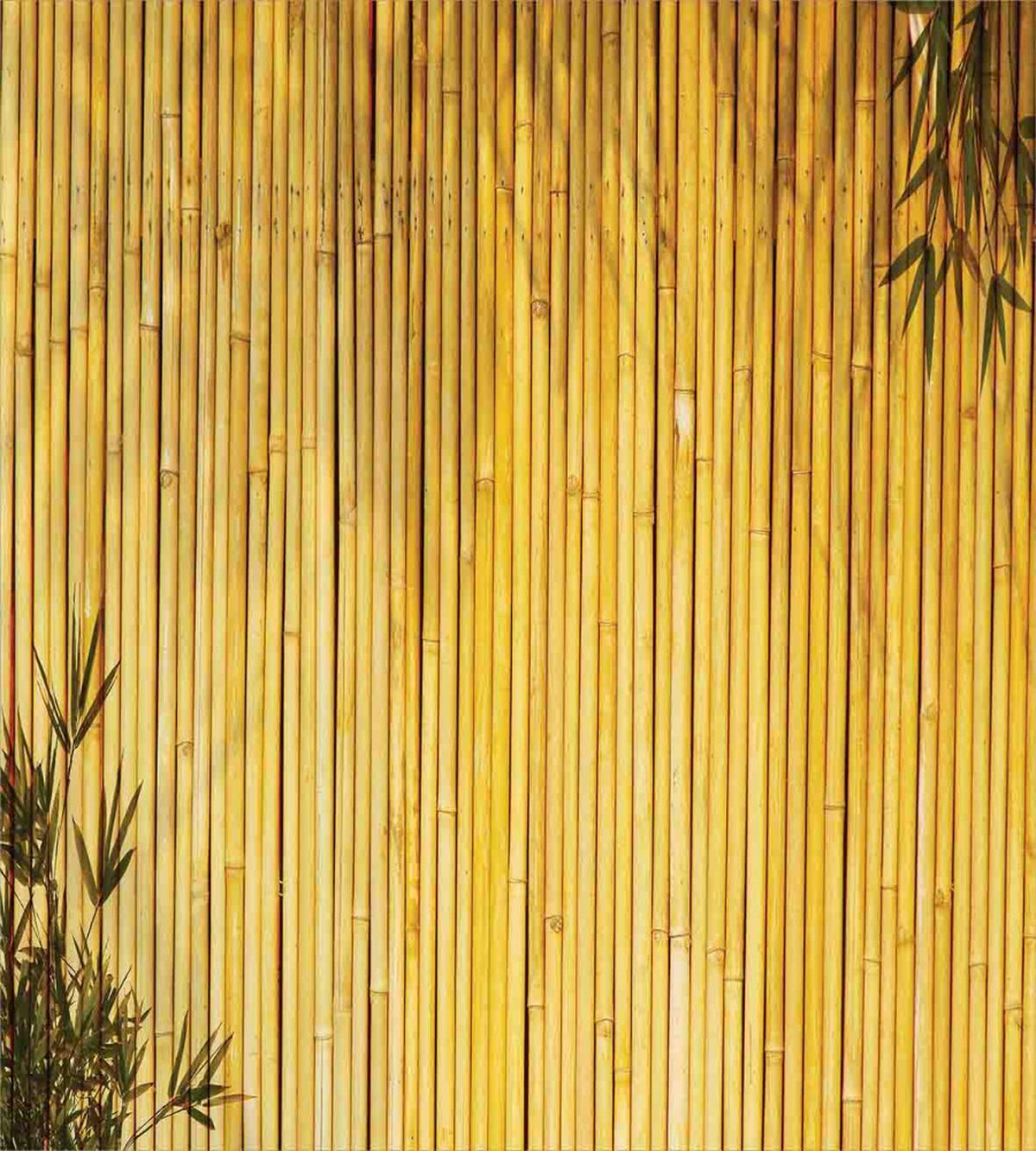 Nature Wood Leaves Stems — Pattern