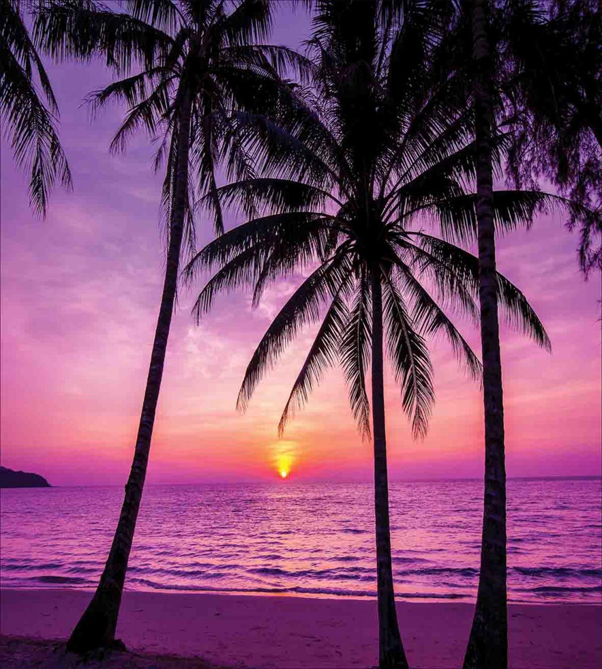 Palms Silhouette Purple — Pattern