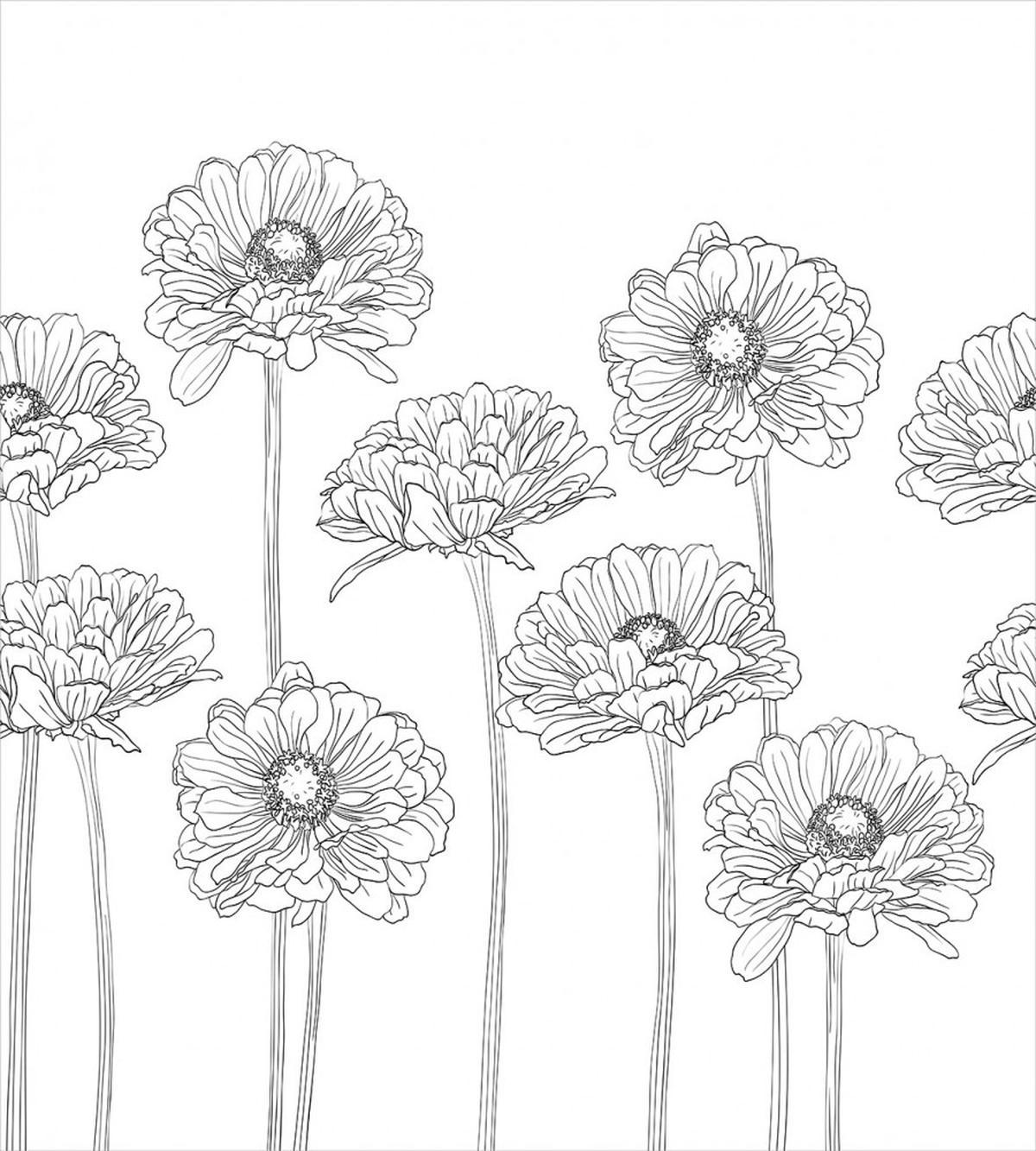 Thin Line Art Flowers — Pattern