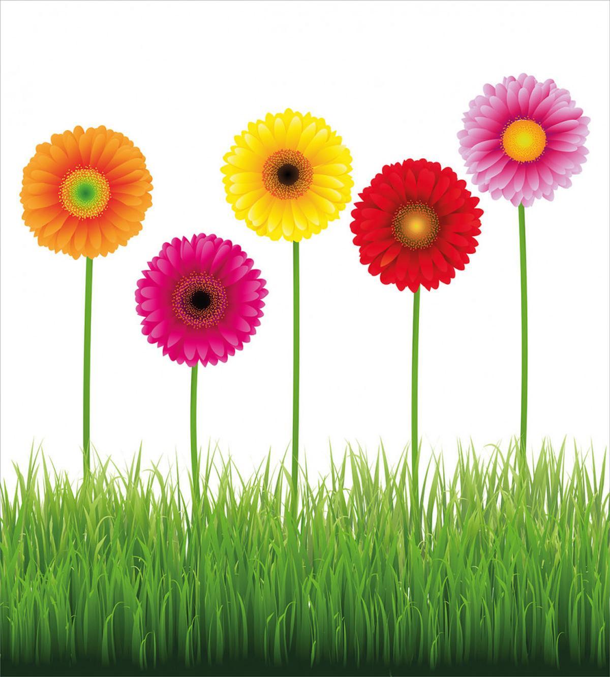 Vivid Flowers on Grass — Pattern