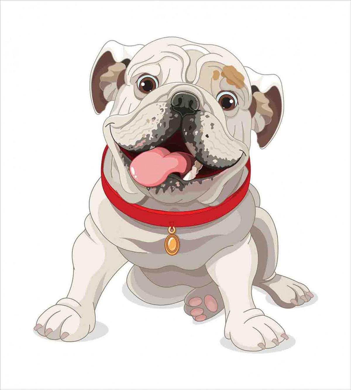 Pure Breed Puppy — Pattern