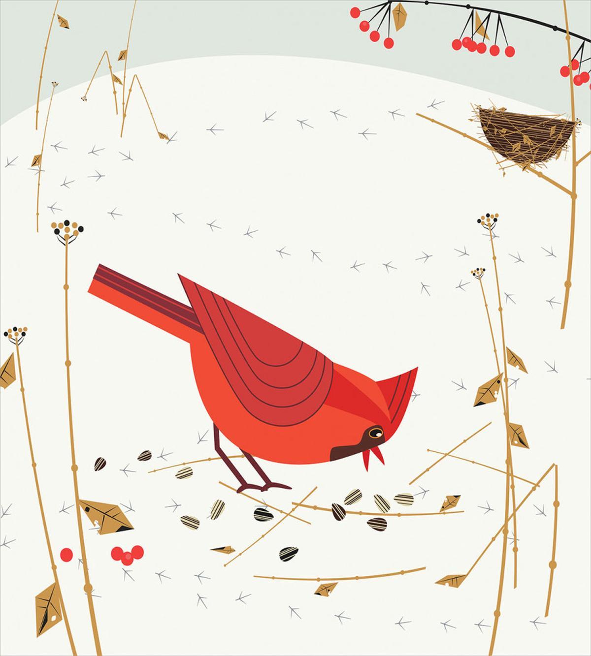 Red Cardinal in Autumn — Pattern