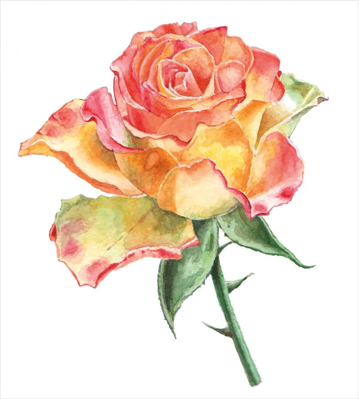 Lively Petals Botany Art — Pattern
