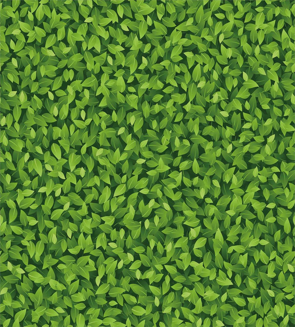 Fresh Leafage Growth — Pattern