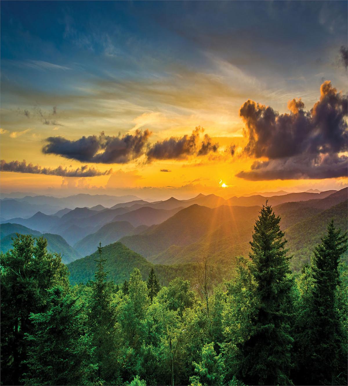 Sunset Hills Panorama — Pattern