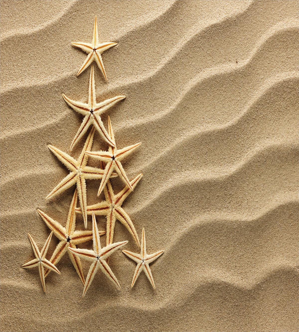 Triangular Shaped Starfish — Pattern