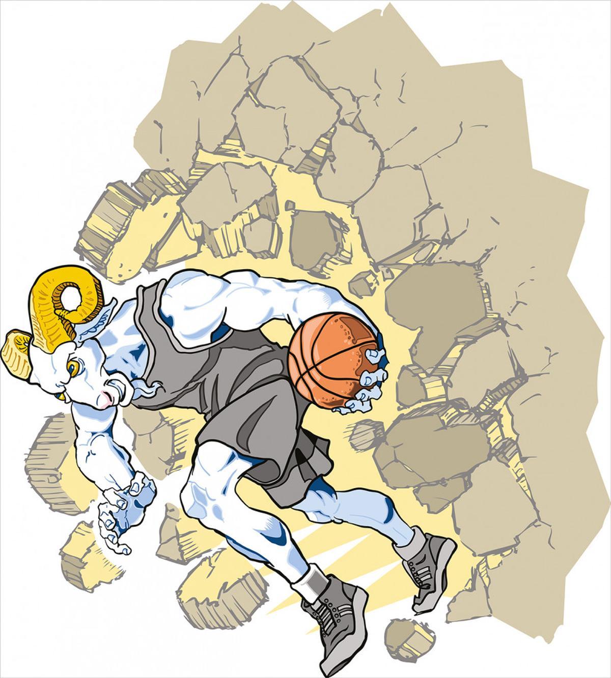 Farm Sheep Basketball — Pattern
