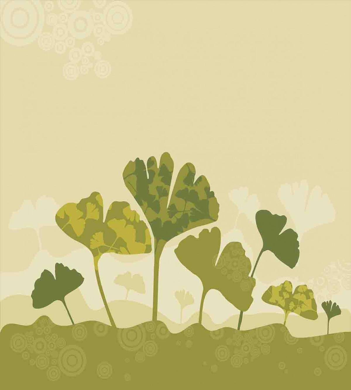 Natural Curved Tree Leaves — Pattern