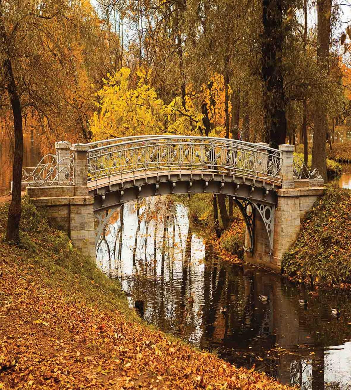 Old Bridge in Fall Forest — Pattern