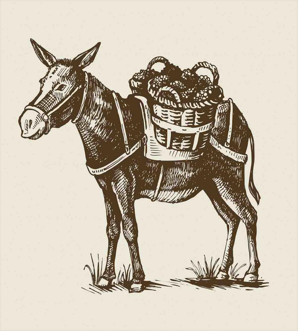 Vintage Animal with Baskets — Pattern