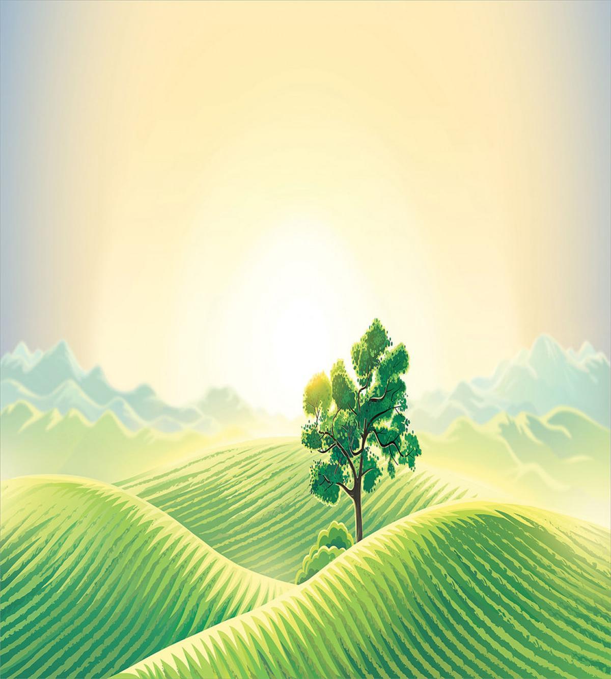 Sunrise on Rural Valley — Pattern