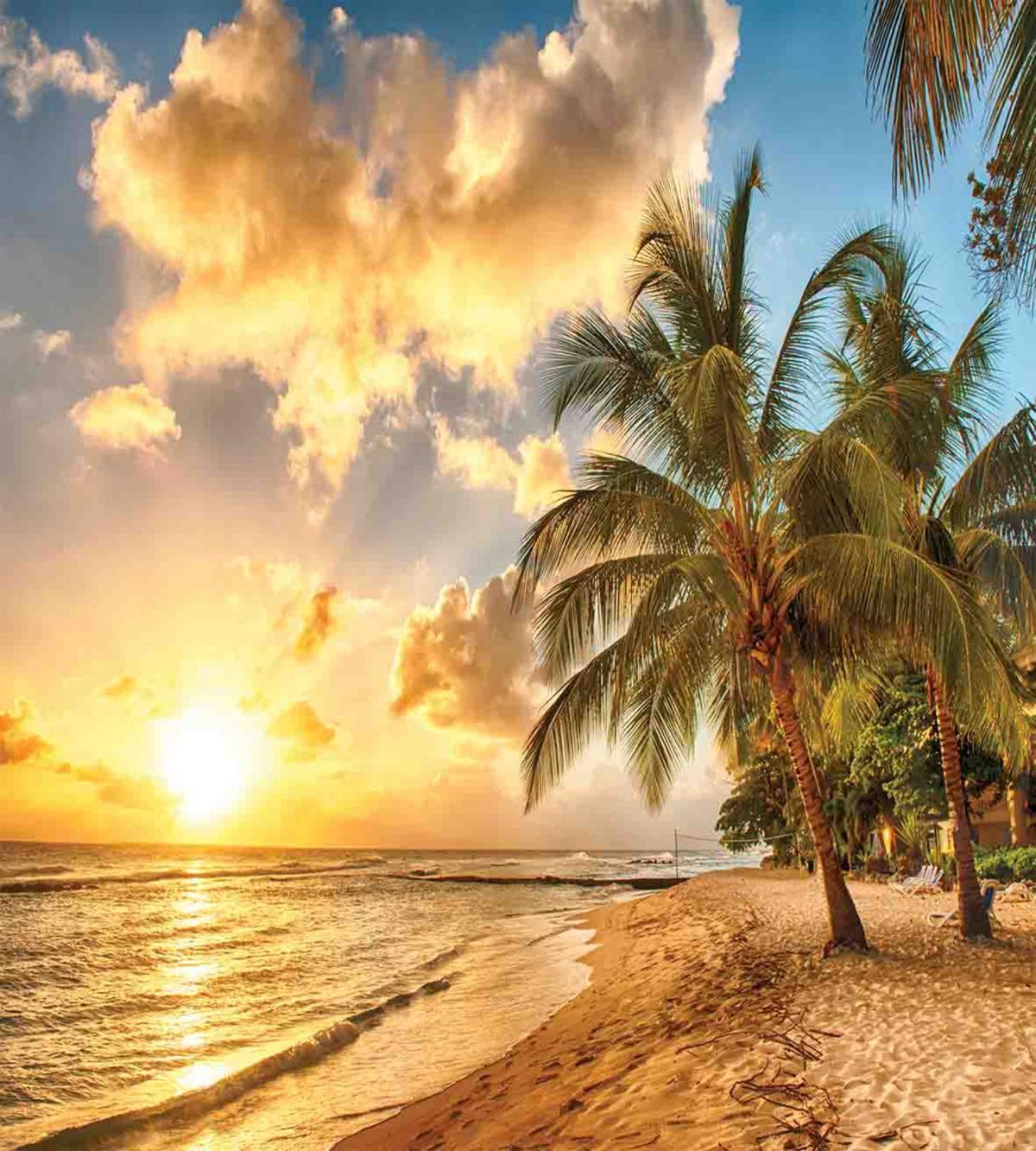 Exotic Sandy Beach — Pattern