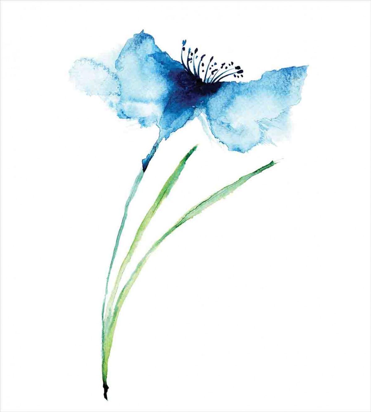 Cornflower Botany — Pattern