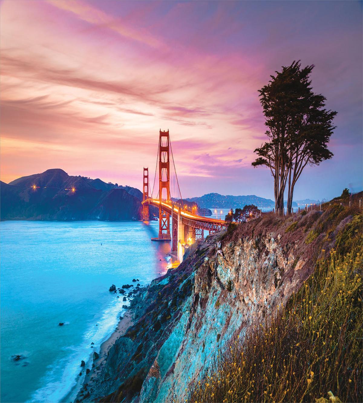 Golden Gate Bridge Tree — Pattern
