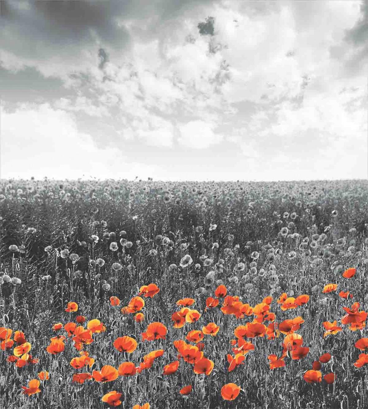 Flower Field Greyscale Design — Pattern