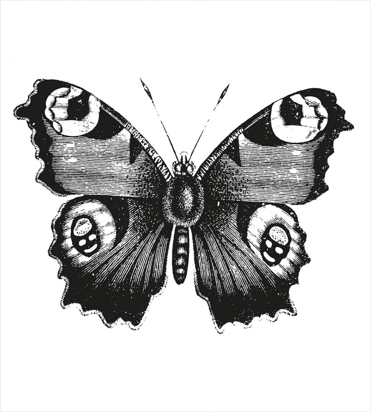 Butterfly Art — Pattern
