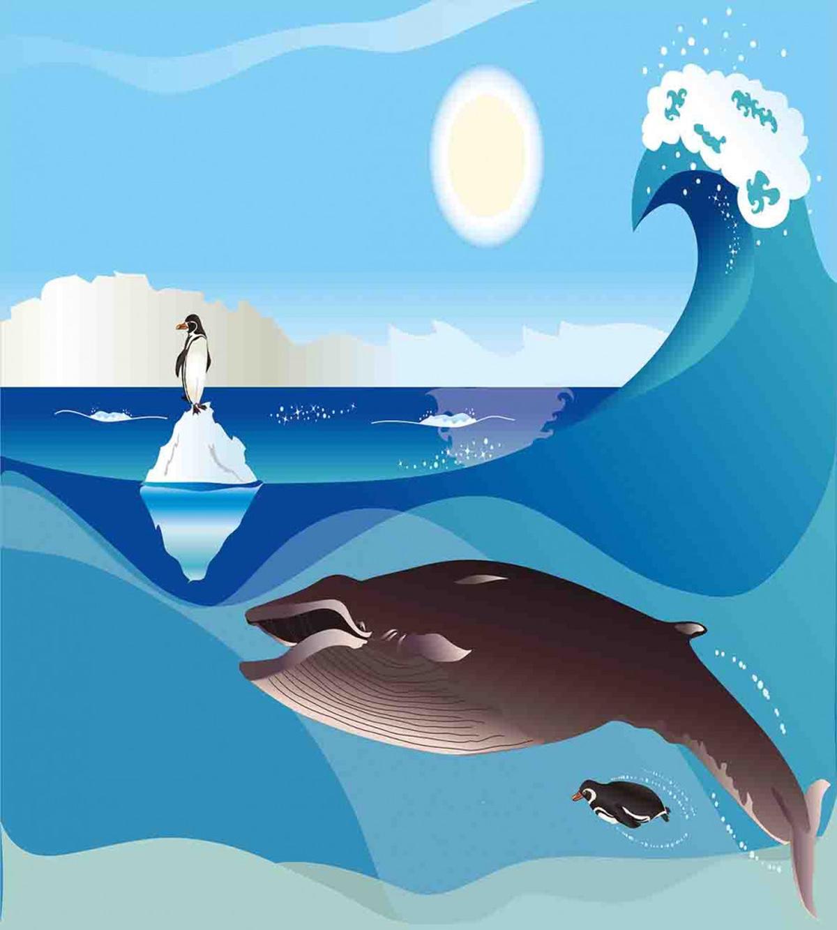 Penguin Wave in Pole — Pattern