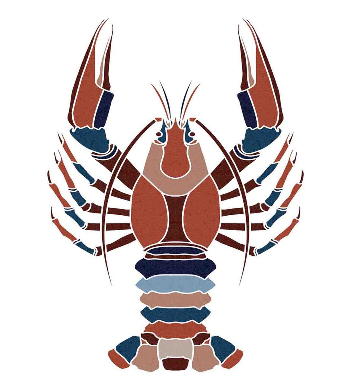 Abstract Crayfish Print — Pattern