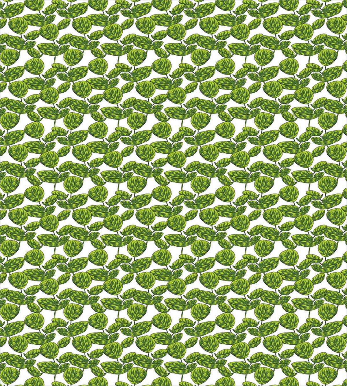Tropical Plants Warm Season — Pattern