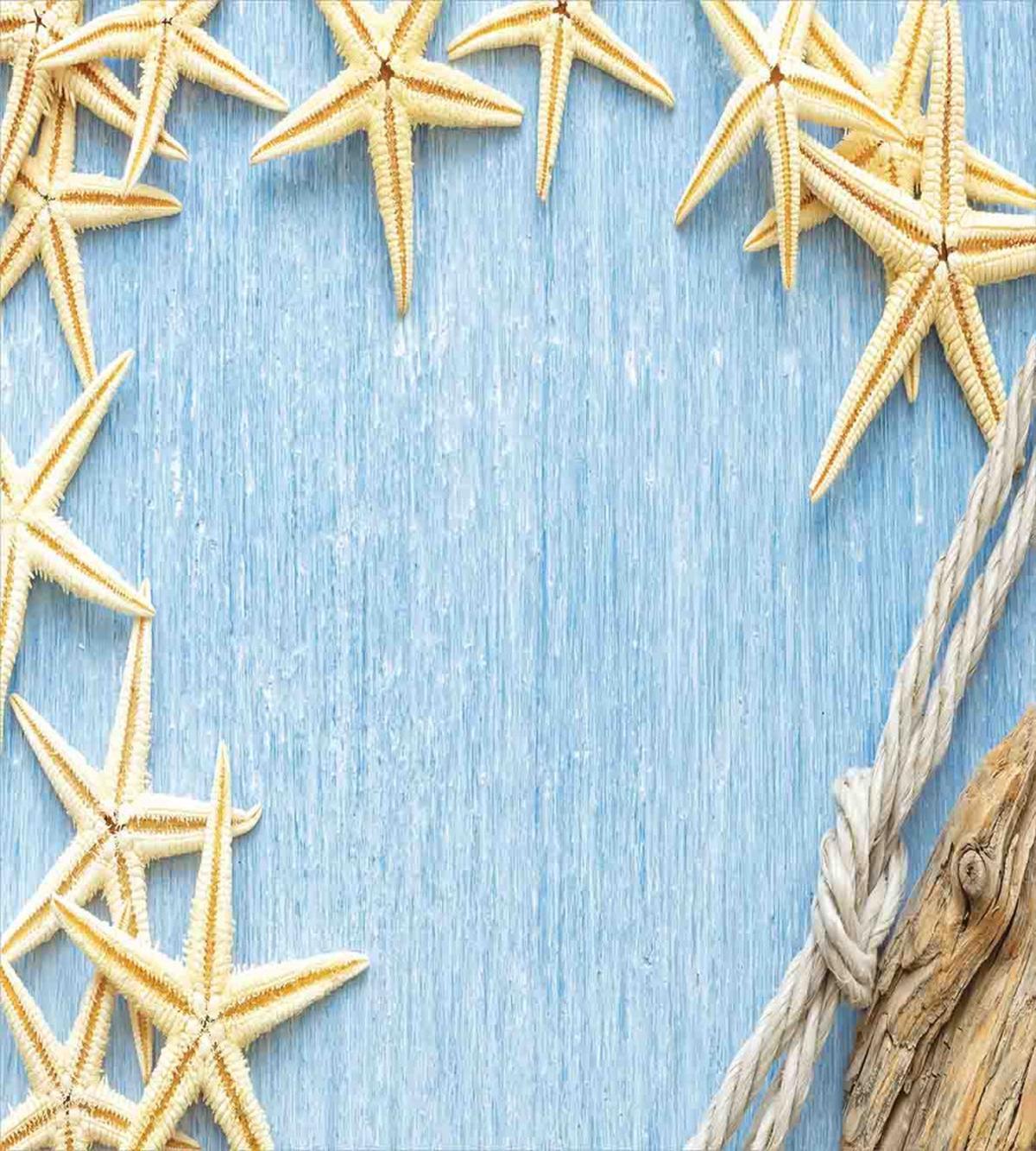 Maritime Beach Shell — Pattern