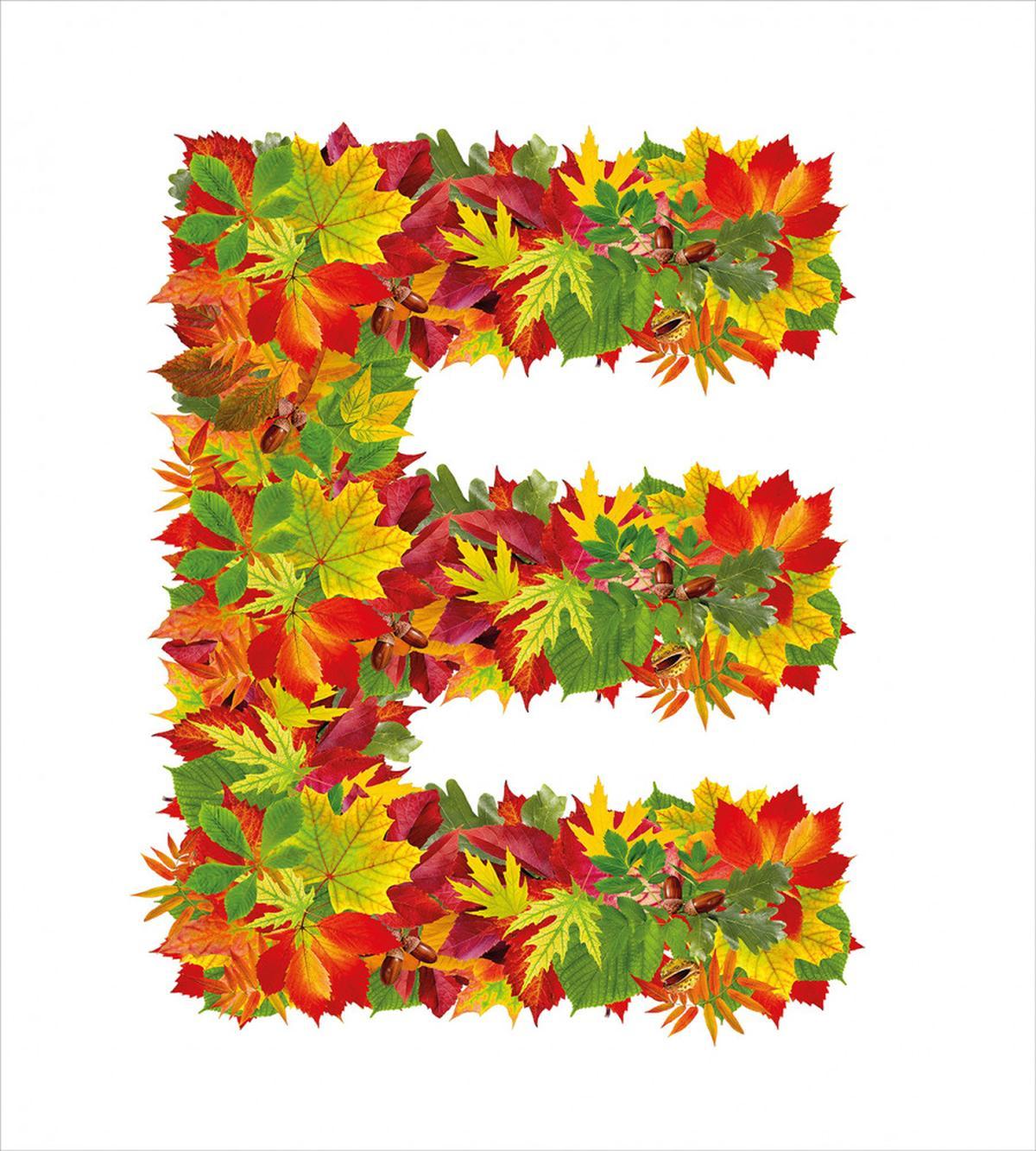 Chestnu Maple Acorn E — Pattern