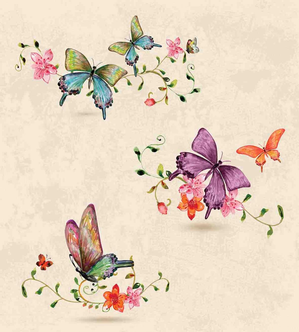 Wings Moth Transformation — Pattern