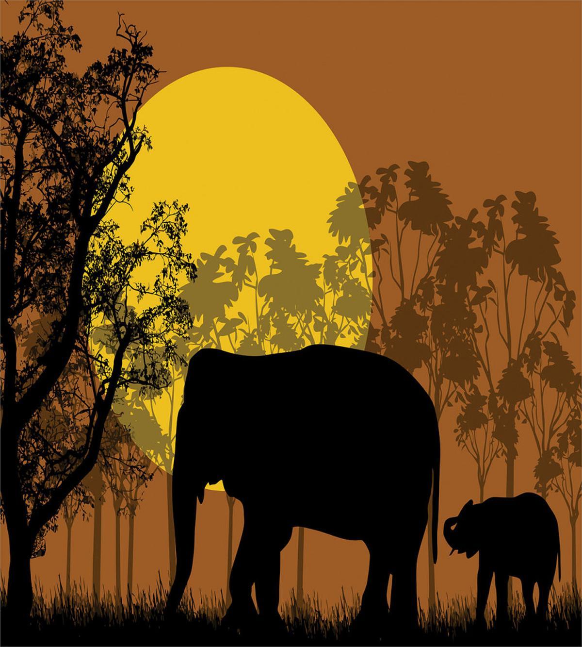 Animals and Trees — Pattern