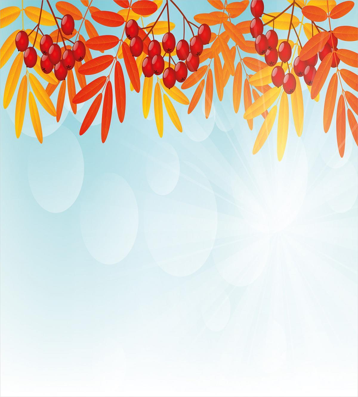 Red Fruits on Branches — Pattern