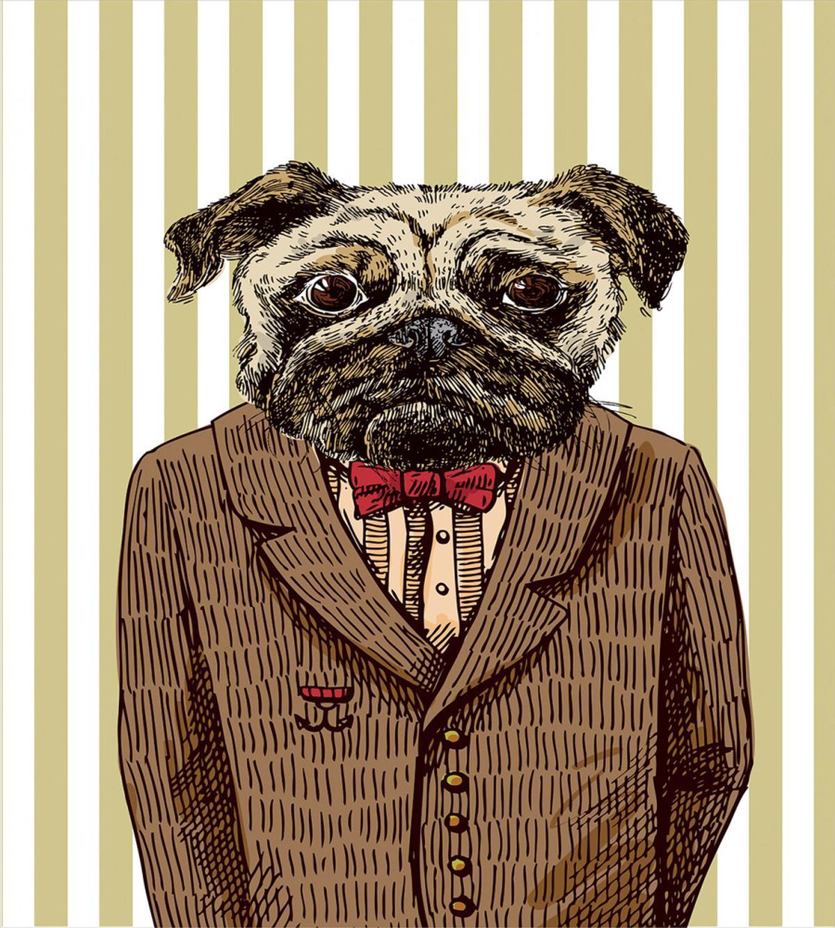 Smart Dressed Dog Suit — Pattern