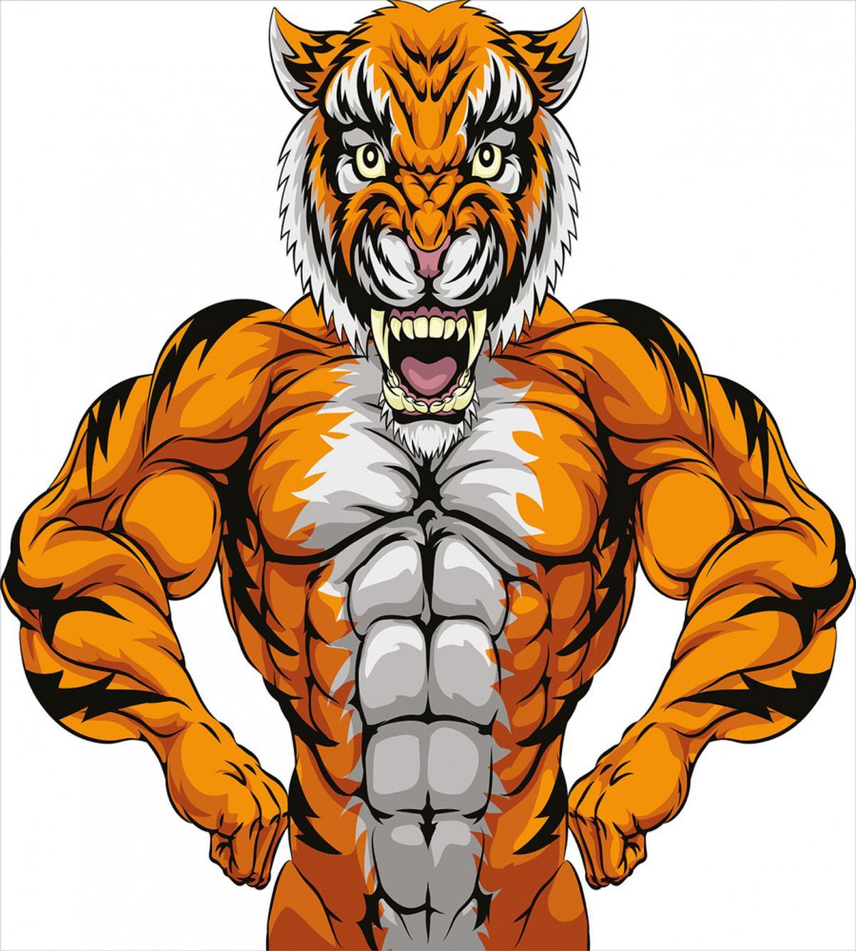 Wildlife Safari Tiger — Pattern