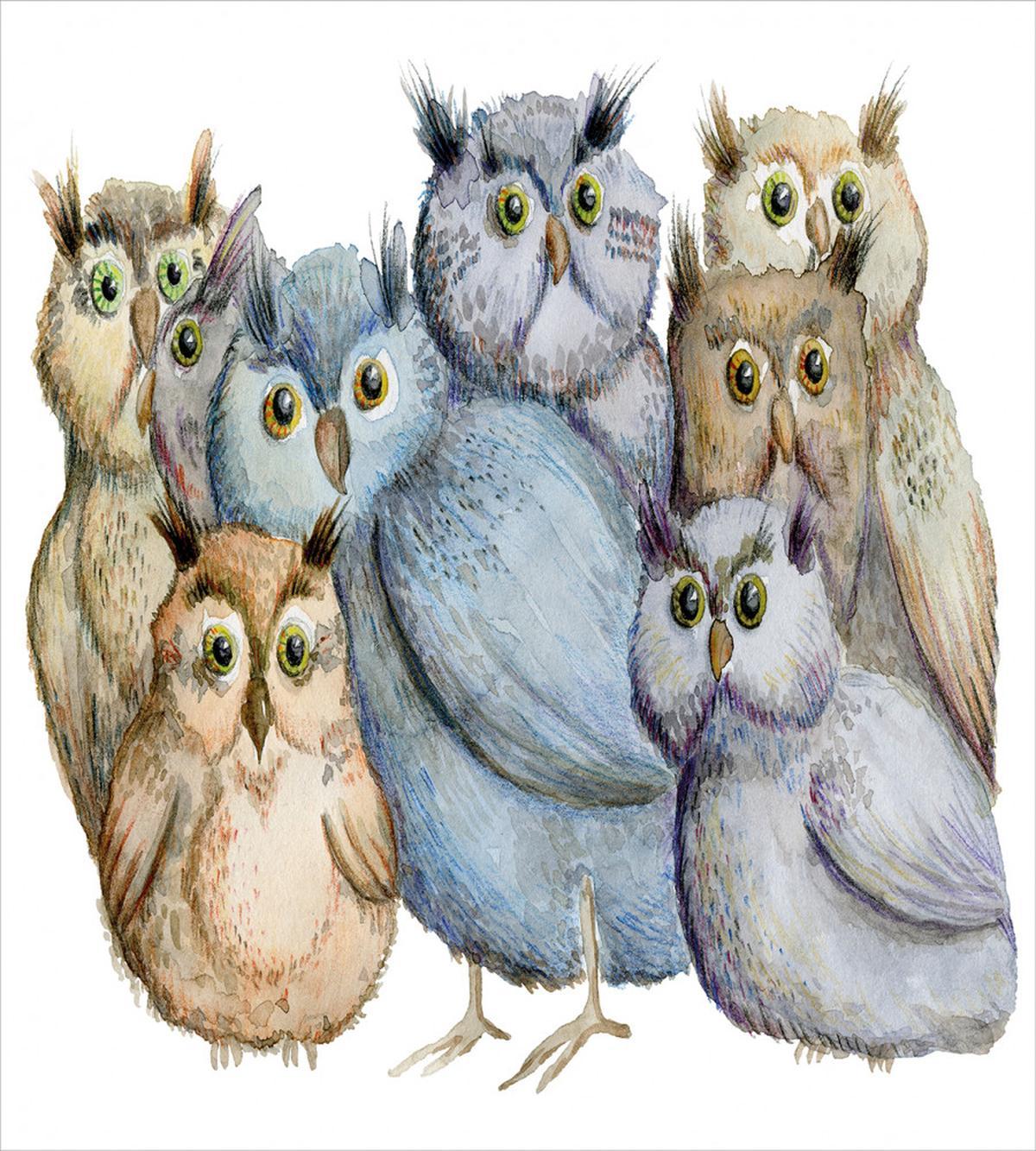 Owl Family Portrait Art — Pattern